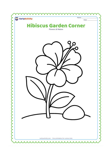 Colouring page: Draw one large hibiscus growing in a small garden corner with a broad leaf, a low rounded stone, and a simple curved soil line. Keep the bloom dominant.