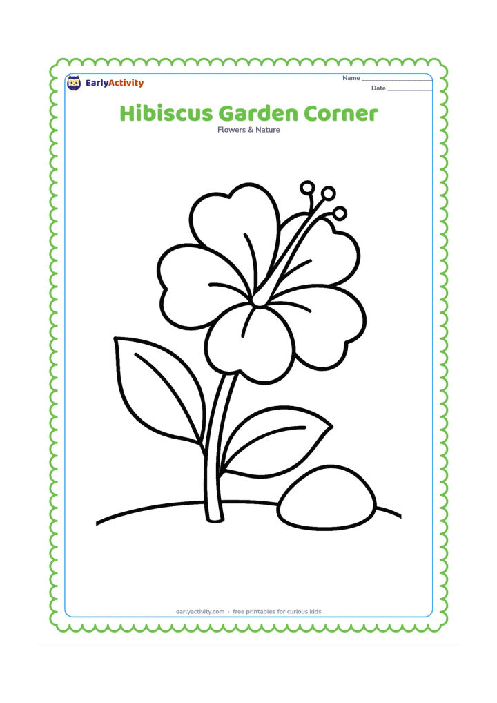 Colouring page: Draw one large hibiscus growing in a small garden corner with a broad leaf, a low rounded stone, and a simple curved soil line. Keep the bloom dominant.