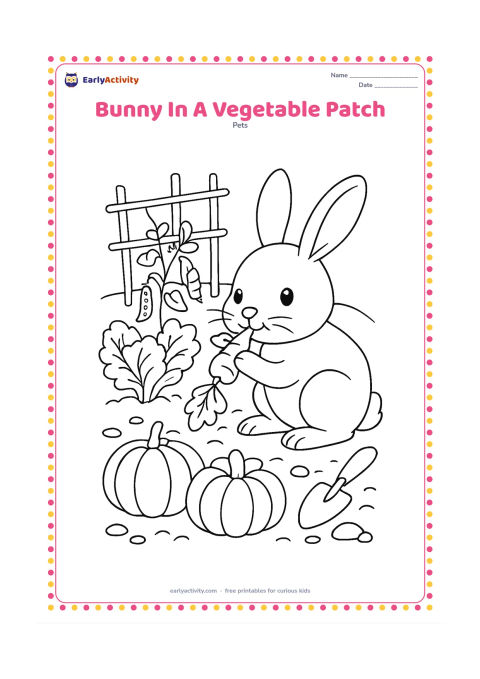 Colouring page: Draw a bunny nibbling a leafy carrot beside neat rows of vegetables, including lettuce, peas, and pumpkins. Add a small garden shovel, a simple trellis, and a few stones around the patch.