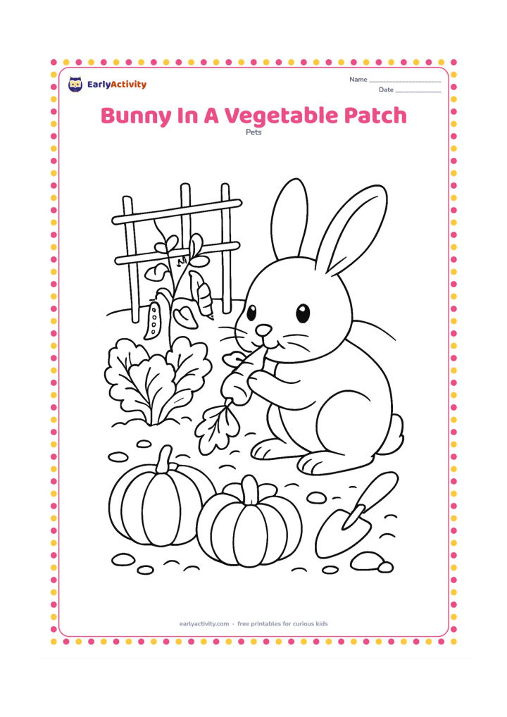 Colouring page: Draw a bunny nibbling a leafy carrot beside neat rows of vegetables, including lettuce, peas, and pumpkins. Add a small garden shovel, a simple trellis, and a few stones around the patch.