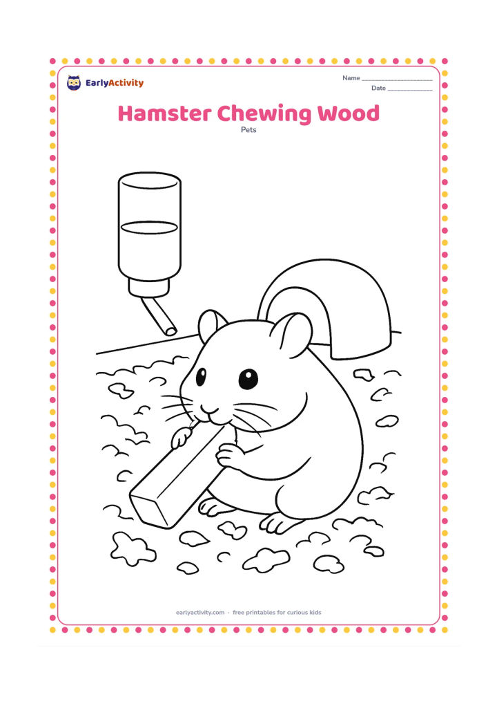 Colouring page: A hamster sits on bedding and safely gnaws a plain wooden chew block. Add a water bottle, a small hideout and several bedding pieces in the enclosure.