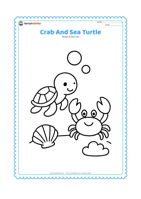 Colouring page: Show a small friendly sea turtle beside a large crab on the ocean floor. Add two big bubbles, a shell and one rounded coral shape.
