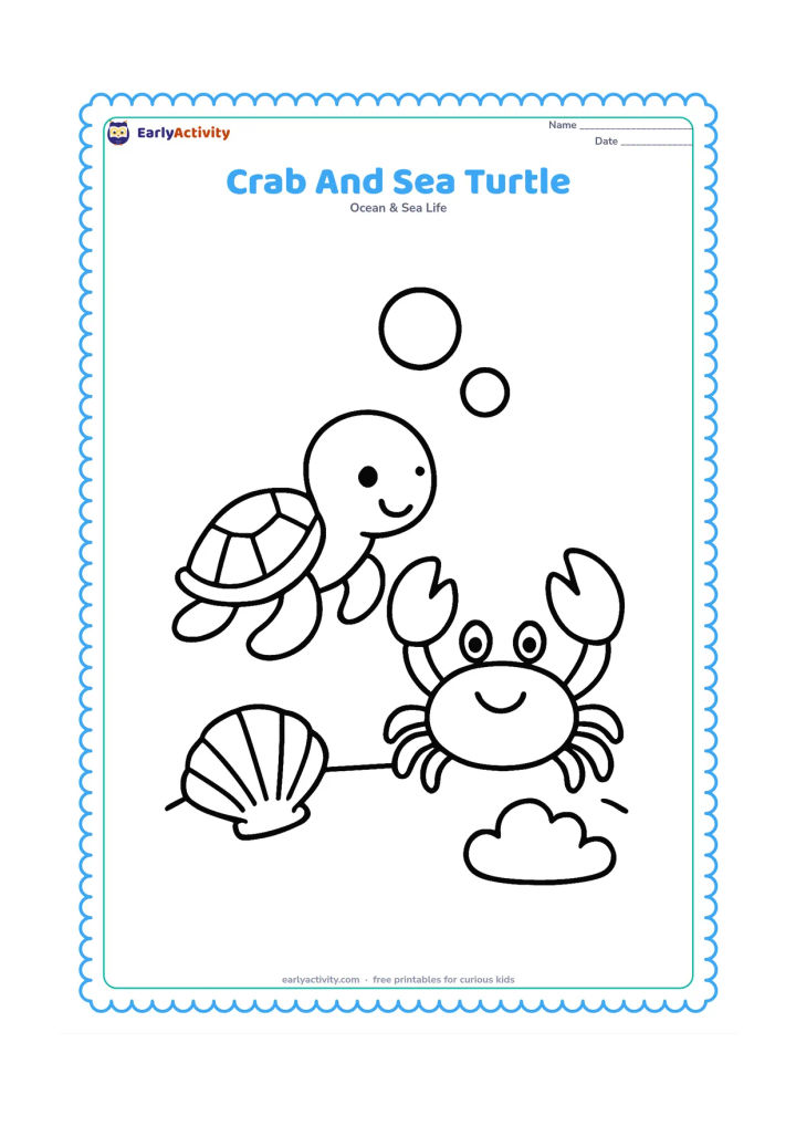 Colouring page: Show a small friendly sea turtle beside a large crab on the ocean floor. Add two big bubbles, a shell and one rounded coral shape.