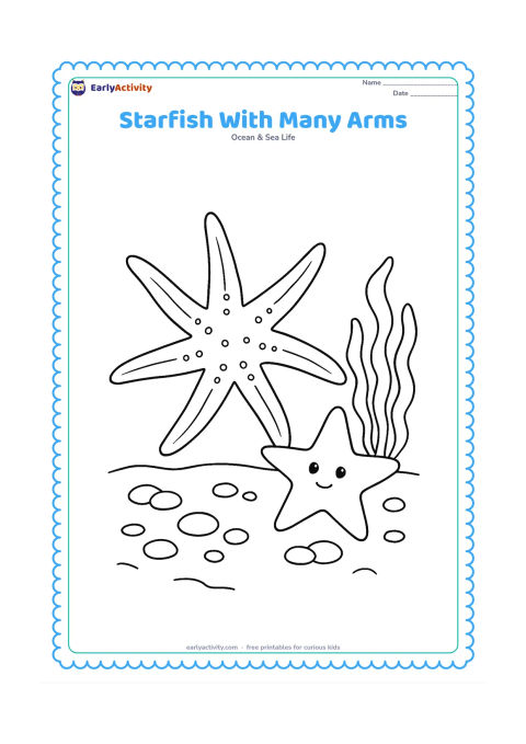 Colouring page: Draw a many-armed sea star spreading across the sand beside a five-armed starfish, with pebbles and seaweed around them.