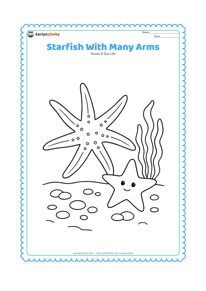 Colouring page: Draw a many-armed sea star spreading across the sand beside a five-armed starfish, with pebbles and seaweed around them.