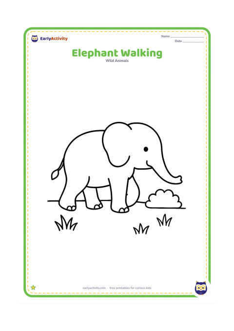 Colouring page: Draw one elephant walking to the right with one front foot lifted and its trunk gently lowered. Add a simple ground line, three grass clumps and one round bush.