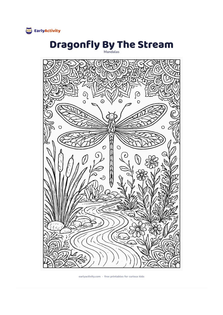 Colouring page: Show a dragonfly hovering above a narrow stream at the centre, with four patterned wings extending into the mandala. Surround it with reeds, water curves, stones, wildflowers, ferns, and…