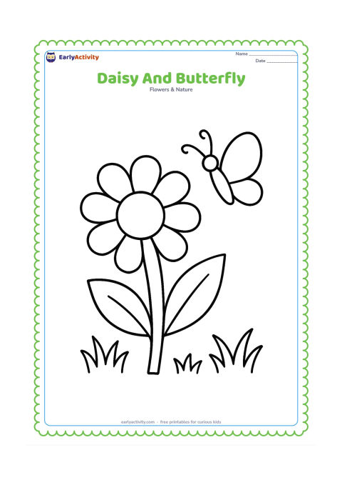 Colouring page: Draw one large daisy with a butterfly hovering beside its petals. Add two oversized leaves and three simple grass clumps.