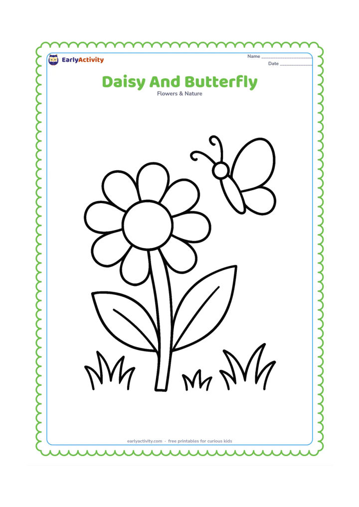 Colouring page: Draw one large daisy with a butterfly hovering beside its petals. Add two oversized leaves and three simple grass clumps.