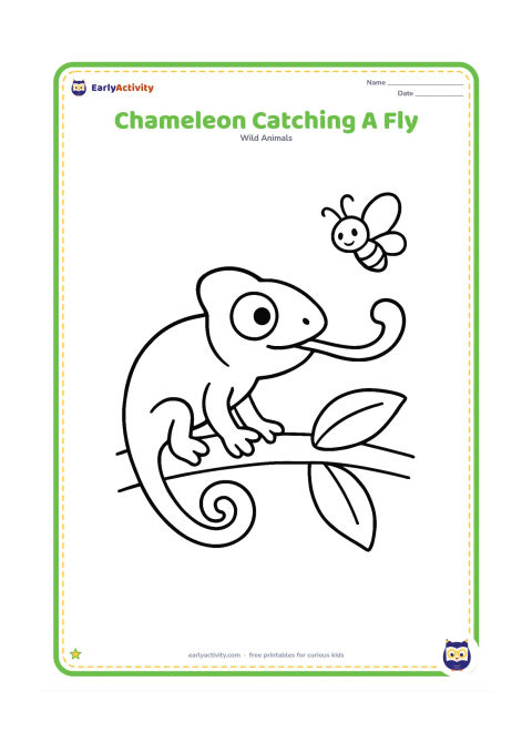 Colouring page: A chameleon stands on a short branch with its long tongue reaching toward one large flying insect. Add two broad leaves and keep the insect safely away from the chameleon's face.