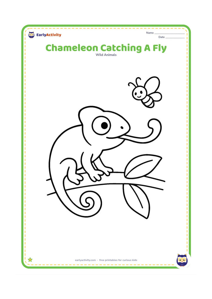 Colouring page: A chameleon stands on a short branch with its long tongue reaching toward one large flying insect. Add two broad leaves and keep the insect safely away from the chameleon's face.