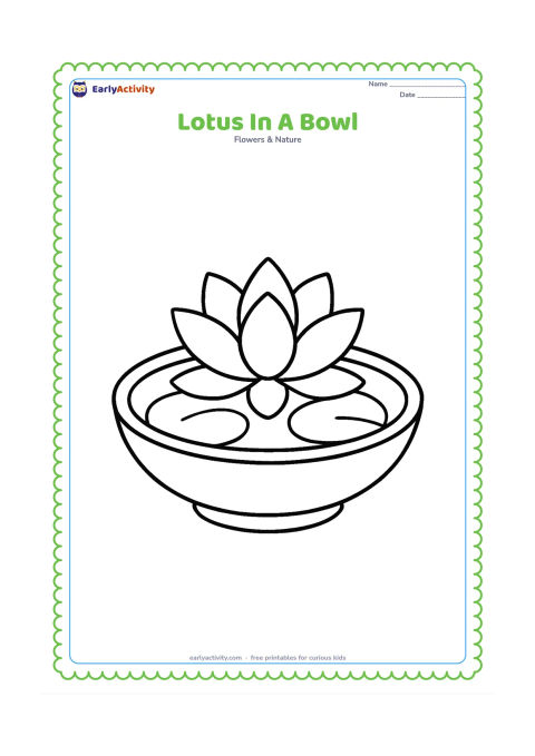 Colouring page: Draw a single lotus flower floating in a wide shallow bowl of water, with two large rounded leaves around it. Place the bowl on a plain surface with no extra objects.