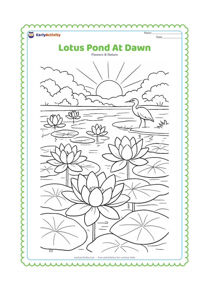 Colouring page: Draw a wide dawn landscape with clusters of lotus blooms, overlapping leaves, mist above the water, distant trees, a rising sun and reflections of the flowers. Add a heron standing far…