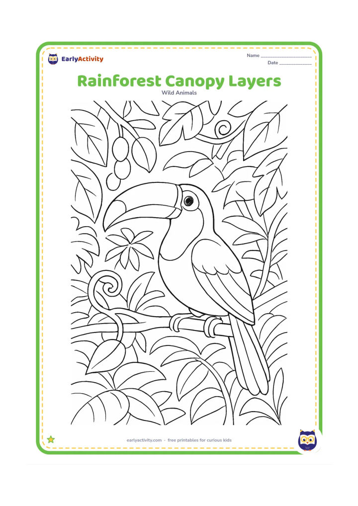 Colouring page: A toucan-like forest bird perches among several layers of rainforest canopy, with curling vines, large leaves, hanging fruit, and distant branches fading behind it.