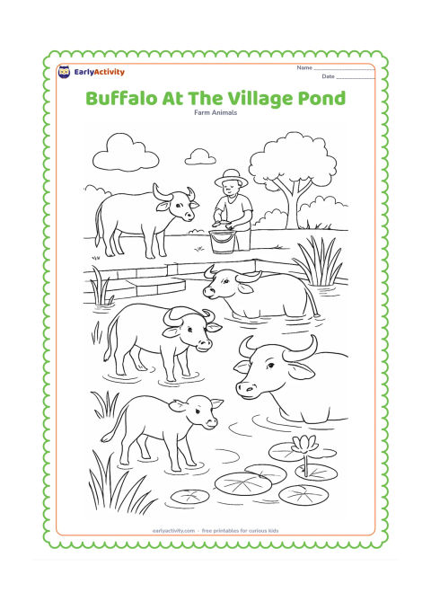 Colouring page: Draw several water buffaloes cooling themselves in a village pond, with one buffalo on the bank and a calf nearby. Include stepped stone edges, reeds, lotus leaves, a farmer washing a…