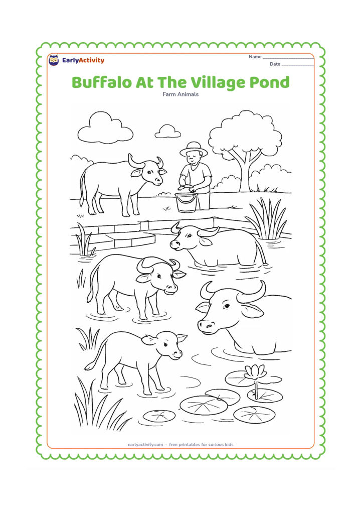 Colouring page: Draw several water buffaloes cooling themselves in a village pond, with one buffalo on the bank and a calf nearby. Include stepped stone edges, reeds, lotus leaves, a farmer washing a…