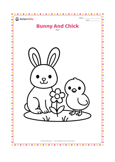 Colouring page: Draw a sitting bunny beside a small friendly chick, with both animals facing the viewer. Place them on a simple grassy patch with one large flower between them.