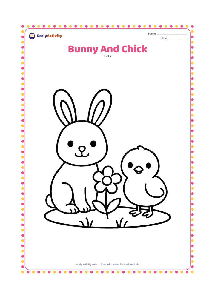 Colouring page: Draw a sitting bunny beside a small friendly chick, with both animals facing the viewer. Place them on a simple grassy patch with one large flower between them.