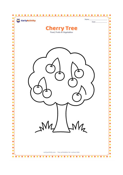 Colouring page: Draw a short cherry tree with a rounded canopy, several large cherries hanging from branches, and simple grass beneath it.