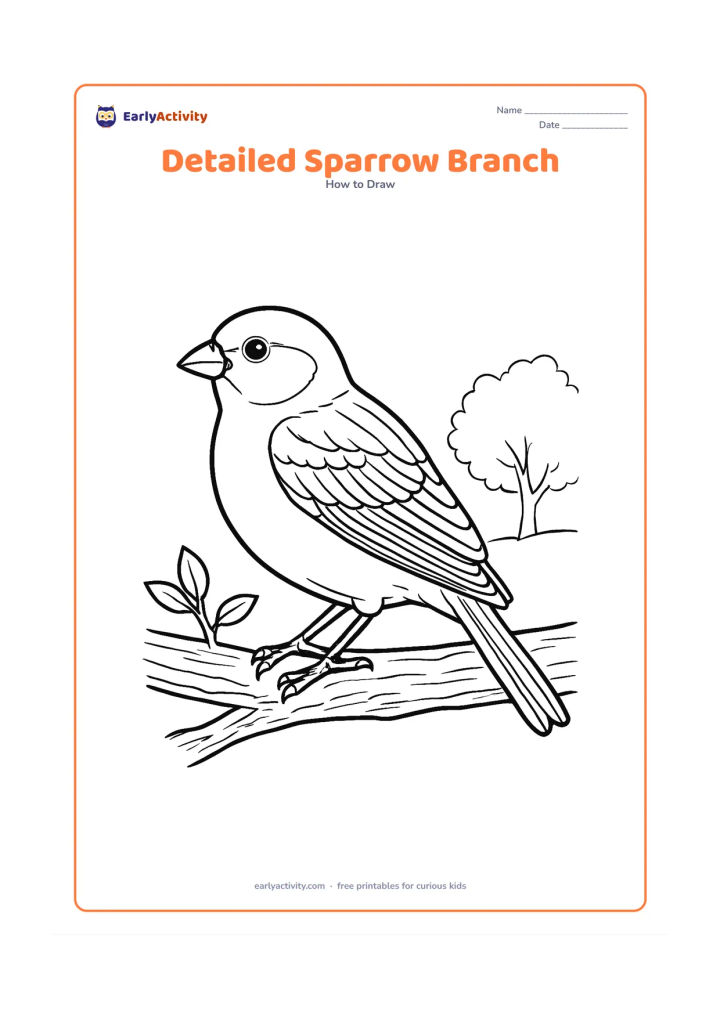 Worksheet: A realistic side-view sparrow perches on a textured branch, with carefully shaped head, short conical beak, rounded breast, layered wing feathers, striped tail and gripping toes. Add…