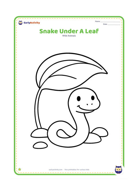 Colouring page: Draw a snake peeking from beneath one oversized leaf, with its head and most of its body visible in a gentle curve. Add a short stem and a few large ground shapes.