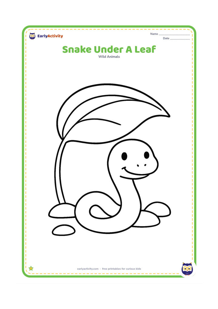 Colouring page: Draw a snake peeking from beneath one oversized leaf, with its head and most of its body visible in a gentle curve. Add a short stem and a few large ground shapes.