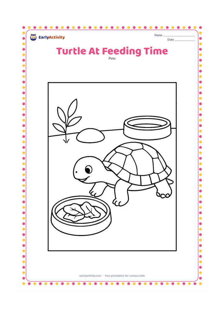 Colouring page: A pet turtle reaches toward a shallow food dish containing leafy pieces in a clean enclosure. Include a water dish, a smooth stone and a small plant in the background.