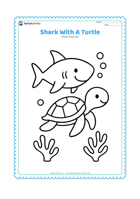 Colouring page: A friendly shark swims peacefully beside a sea turtle, with a few bubbles and two simple coral shapes below. Both animals face the same direction.