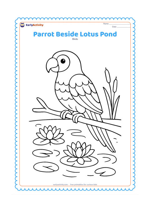 Colouring page: Draw a parrot standing on a branch beside a calm pond with lotus flowers, lily pads, reeds, and a few ripples. Show its feet gripping the branch above the water.