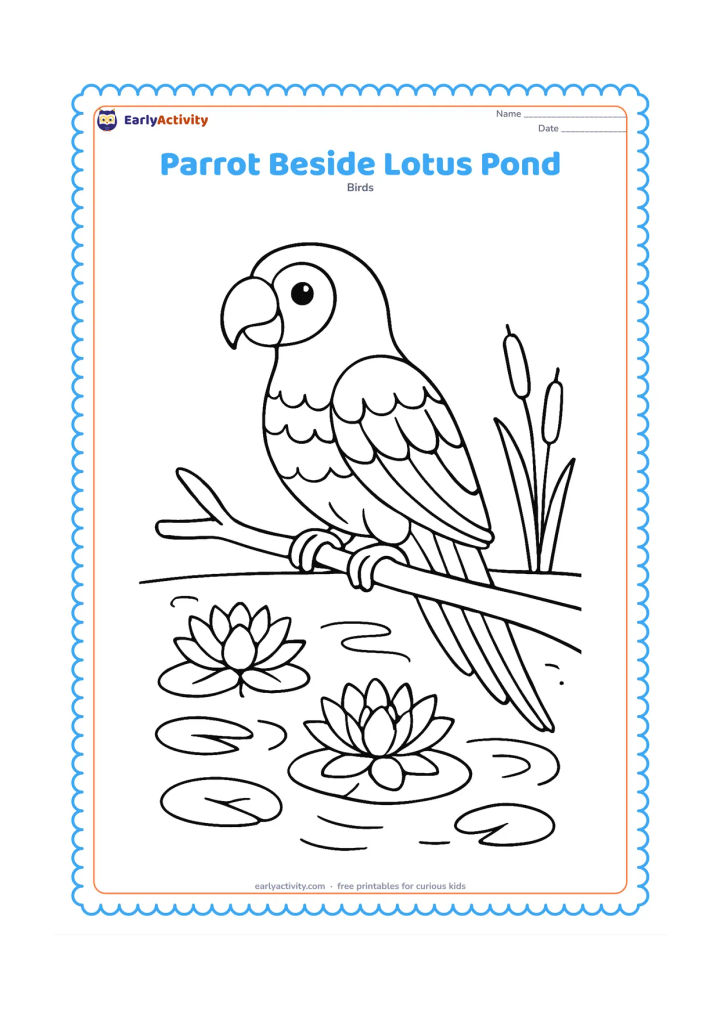 Colouring page: Draw a parrot standing on a branch beside a calm pond with lotus flowers, lily pads, reeds, and a few ripples. Show its feet gripping the branch above the water.