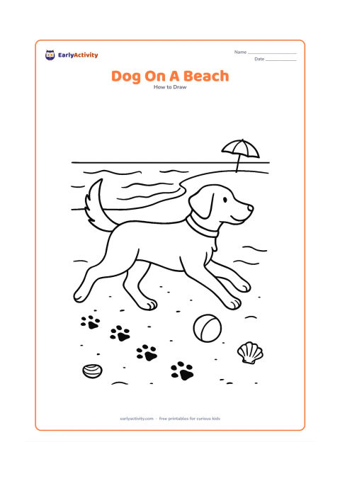 Worksheet: Show blank, unlabeled stages for a dog trotting along a beach with wet paw marks, a ball, waves, shells and a distant umbrella. Add fur direction, a collar and a lively curved tail in…