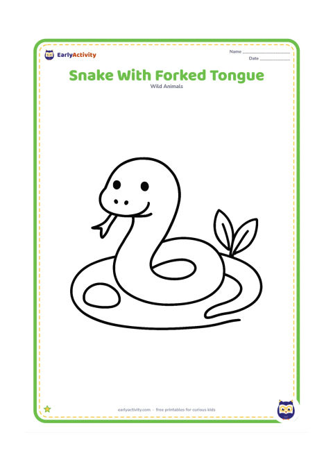 Colouring page: Draw a snake resting on a flat patch of ground with its forked tongue gently extended. Add one large pebble and two simple leaves around it.
