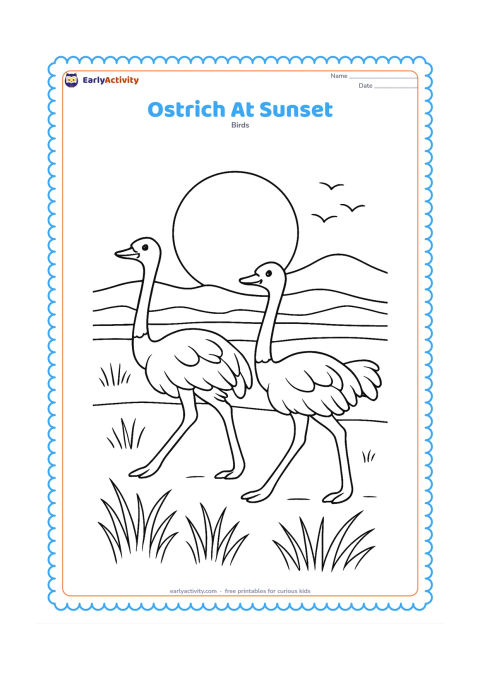 Colouring page: A pair of ostriches walks across a savanna horizon beneath a large setting sun, with layered hills, long grass and a few flying bird silhouettes far in the background.