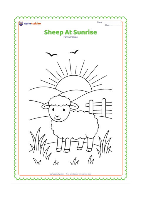 Colouring page: A sheep stands on a hill as the sun rises behind distant hills, with long grass, a fence and two birds in the sky. The birds should be simple silhouettes with no markings.