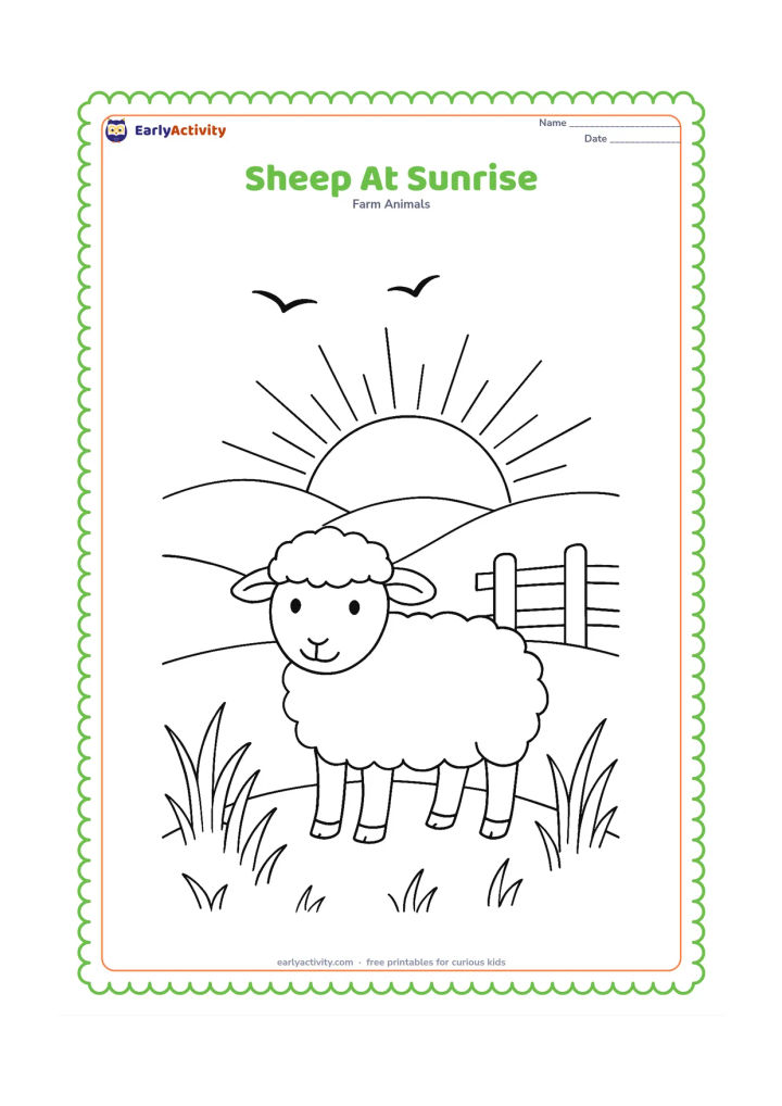 Colouring page: A sheep stands on a hill as the sun rises behind distant hills, with long grass, a fence and two birds in the sky. The birds should be simple silhouettes with no markings.