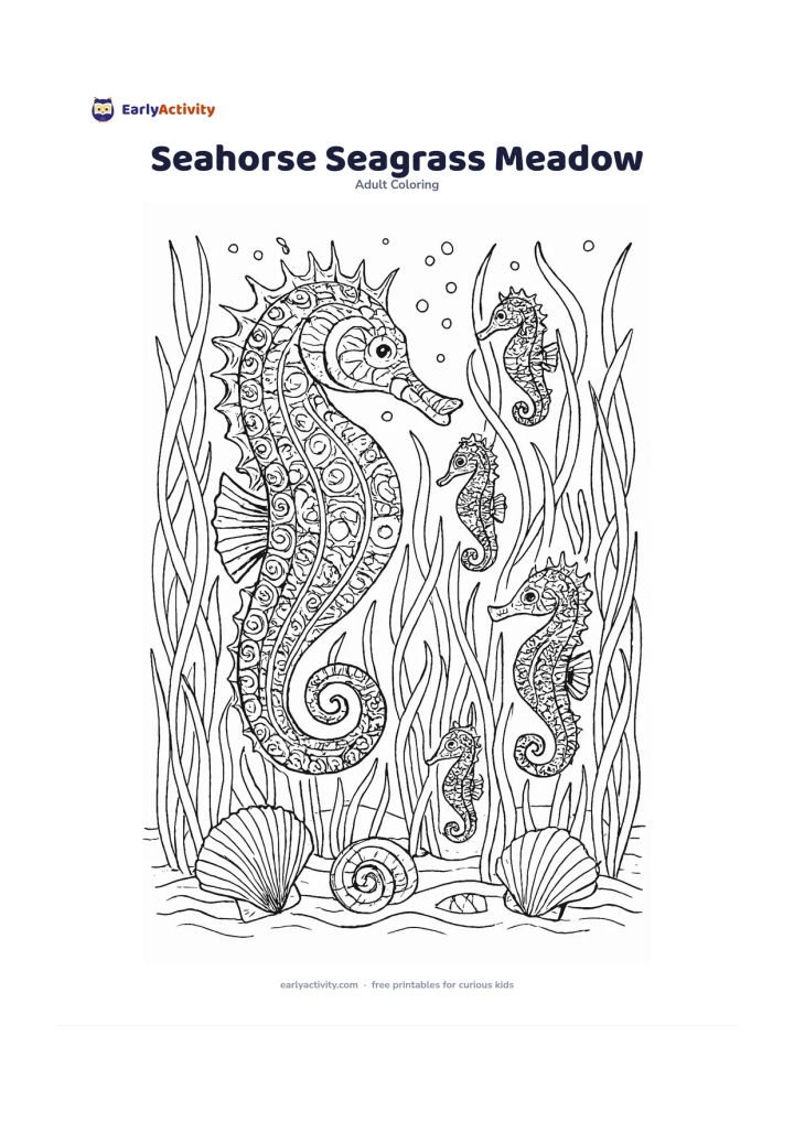 Colouring page: Several seahorses swim upright through a dense seagrass meadow with shells, tiny bubbles and gently waving blades. Arrange one large seahorse in front and smaller ones at different depths.