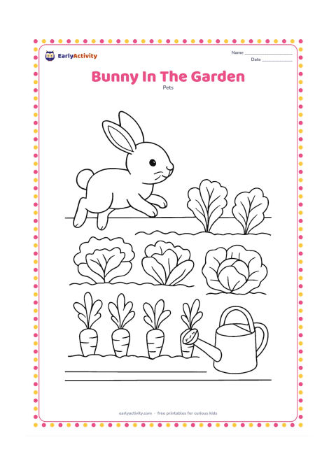 Colouring page: Draw a bunny hopping through a vegetable garden with rows of leafy carrots, lettuce, and broad cabbage leaves. Include a low garden border, a watering can, and several open spaces…