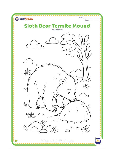 Colouring page: An Indian sloth bear gently investigates a rounded termite mound with its nose, in a dry forest clearing with grasses, rocks, and a sal tree.