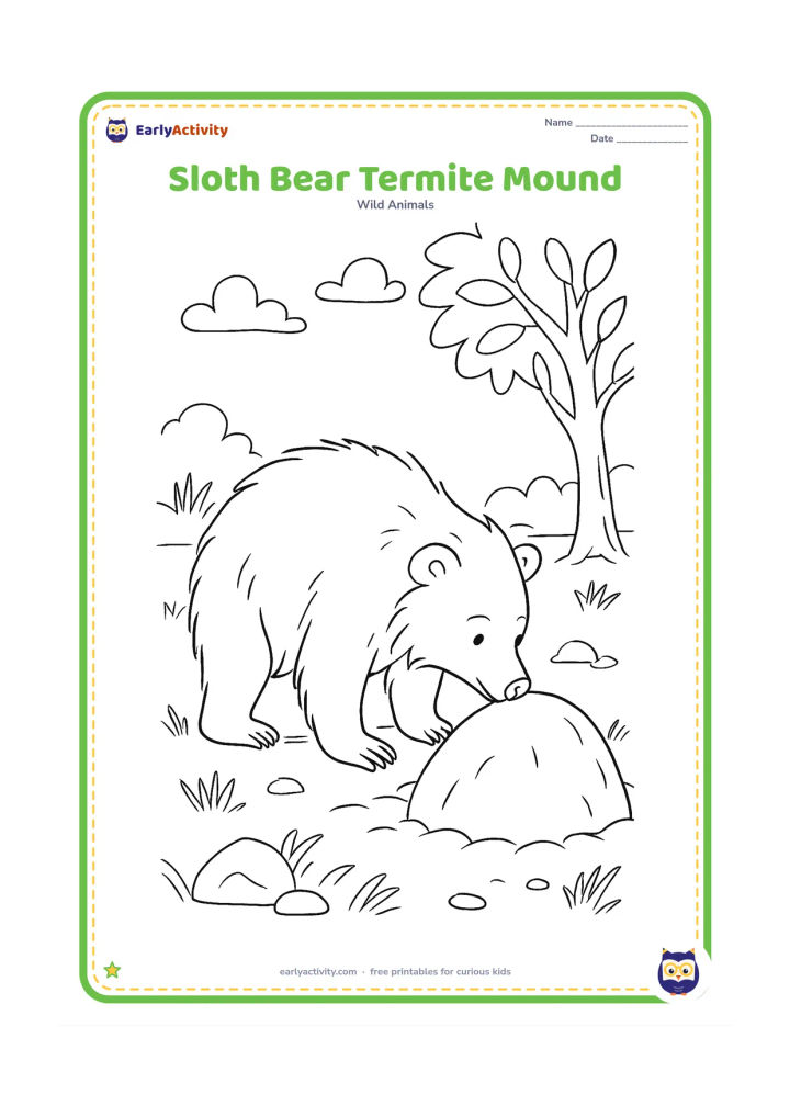 Colouring page: An Indian sloth bear gently investigates a rounded termite mound with its nose, in a dry forest clearing with grasses, rocks, and a sal tree.