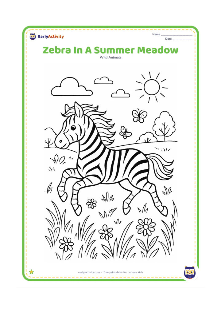 Colouring page: Draw one zebra galloping through a summer meadow with its mane and tail flowing. Surround it with varied grasses, daisies, butterflies, distant trees and a bright open sky.
