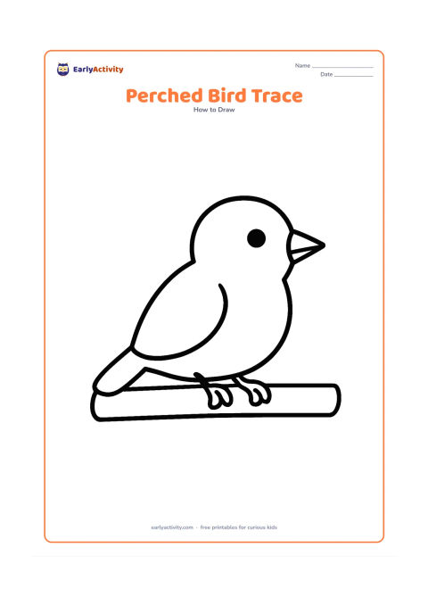 Worksheet: A side-view bird sitting on one thick branch, built from one large oval body, a round head, a triangle beak and simple curved feet. Leave generous empty space around the bird for tracing…