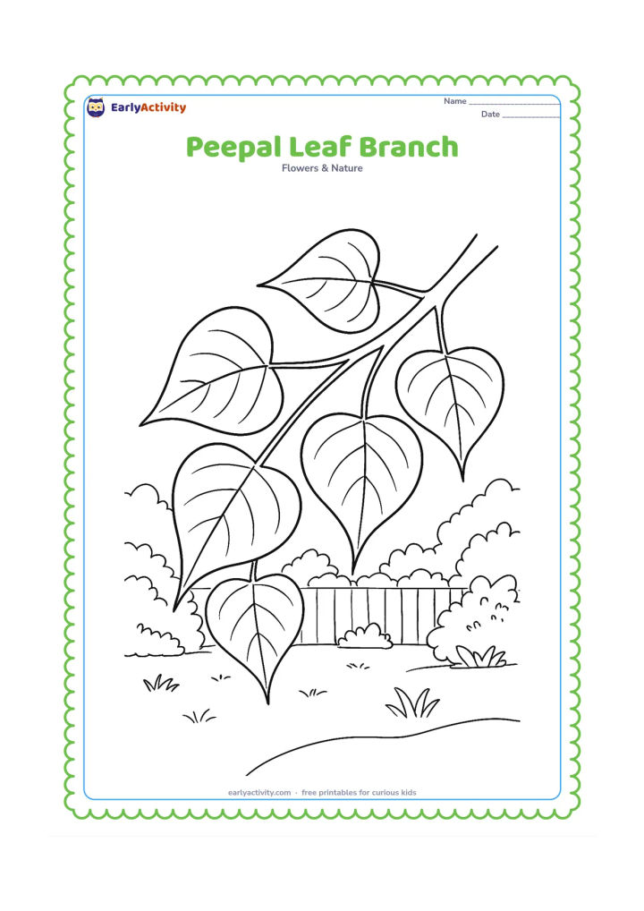 Colouring page: A branch from a peepal tree extends diagonally across the page with several heart-shaped leaves, long tips and visible stems, set against a quiet garden.