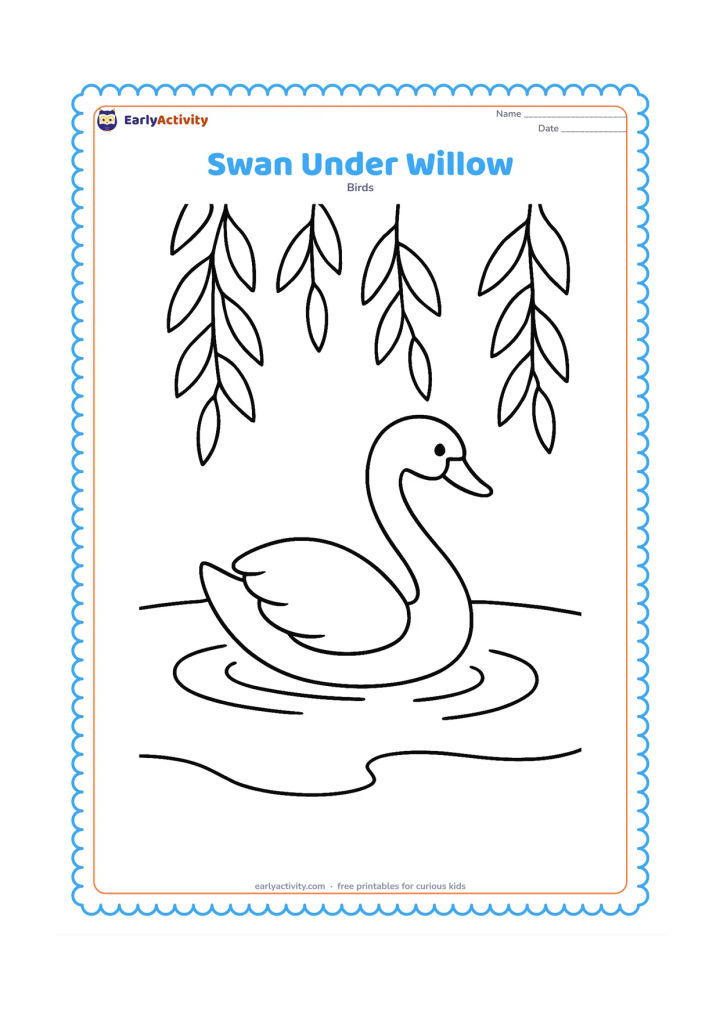 Colouring page: A swan glides on a pond beneath a few long, drooping willow branches. Include a simple shoreline and two large water ripples.