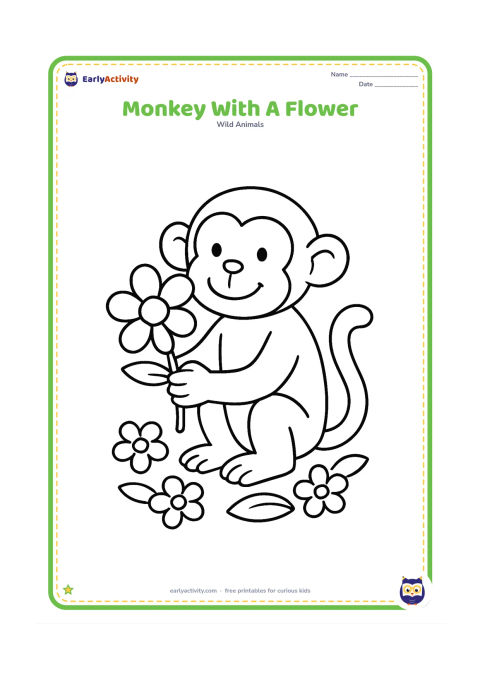 Colouring page: Draw one seated monkey holding a large flower in both hands. Add three simple flowers and broad leaves on the ground nearby.