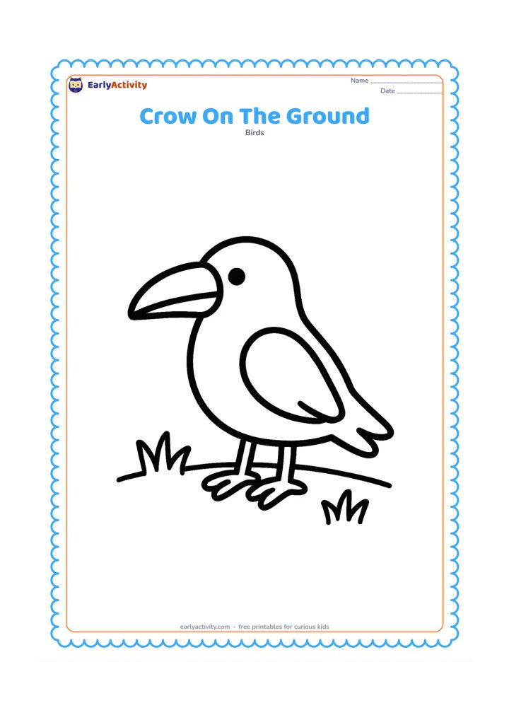 Colouring page: A single crow stands on a clear patch of ground, facing sideways with a large slightly curved beak, two feet, a rounded body, and a few grass tufts.