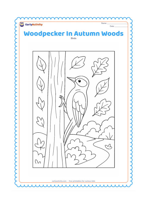 Colouring page: A woodpecker clings to a tree trunk surrounded by falling leaves, woodland shrubs and a path curving into the background. Include a mixture of broad and pointed leaves.