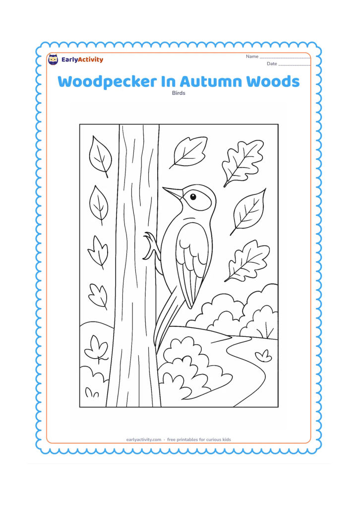 Colouring page: A woodpecker clings to a tree trunk surrounded by falling leaves, woodland shrubs and a path curving into the background. Include a mixture of broad and pointed leaves.