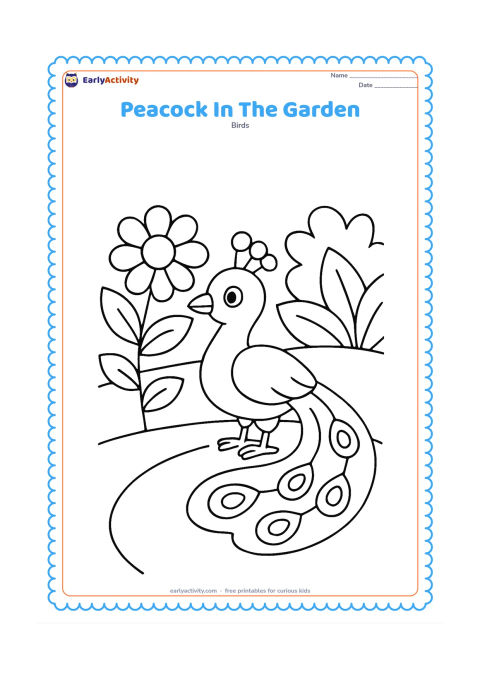 Colouring page: A peacock walks beside two large flowers and broad leaves in a simple garden. Show his long tail trailing behind and a small garden path.
