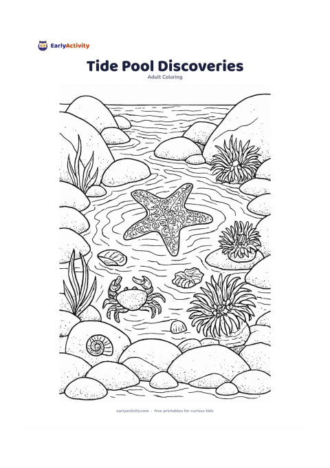 Colouring page: A rocky tide pool contains a starfish, small crab, sea anemones, shells, seaweed and shallow ripples reflecting the sky. Frame the pool with smooth rocks and show a small section of the…