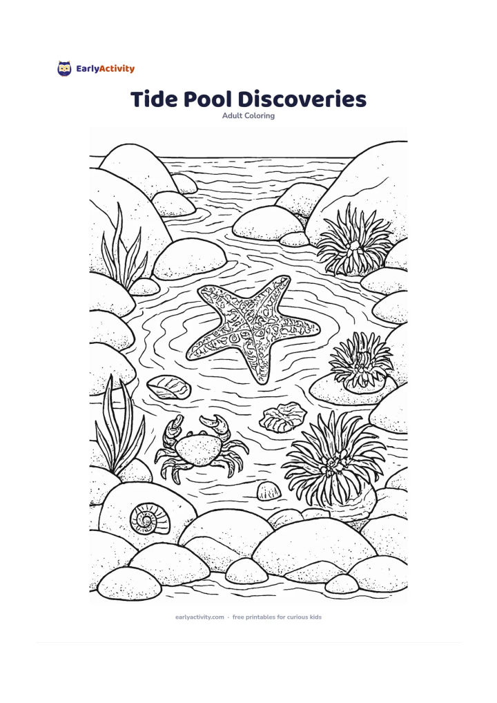 Colouring page: A rocky tide pool contains a starfish, small crab, sea anemones, shells, seaweed and shallow ripples reflecting the sky. Frame the pool with smooth rocks and show a small section of the…